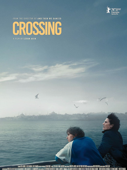 Affiche du film Crossing Istambul