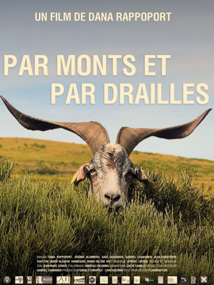 Infos et événements de juillet 2026